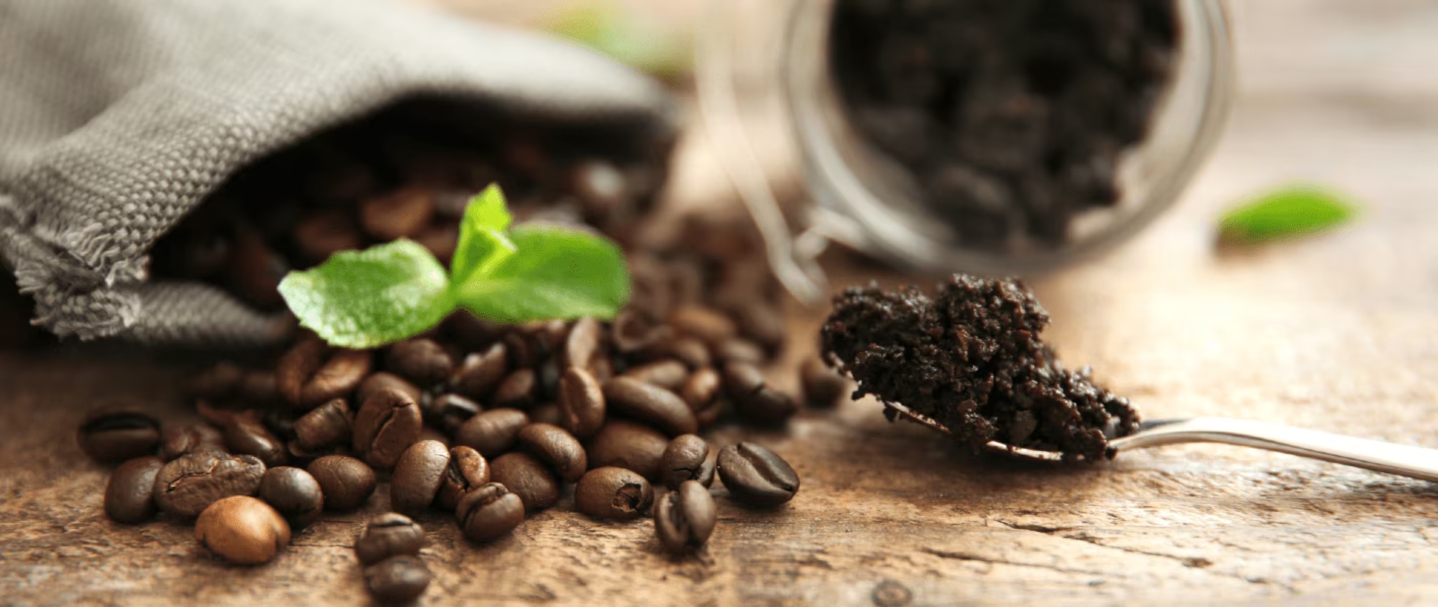 Café ecológico: qué es y cuáles son sus beneficios